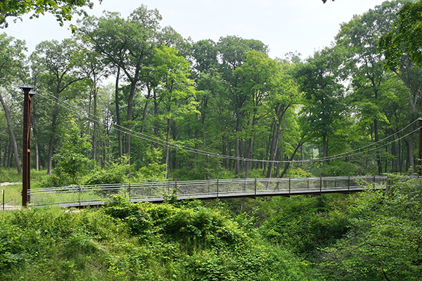 Deromedi Bridge After