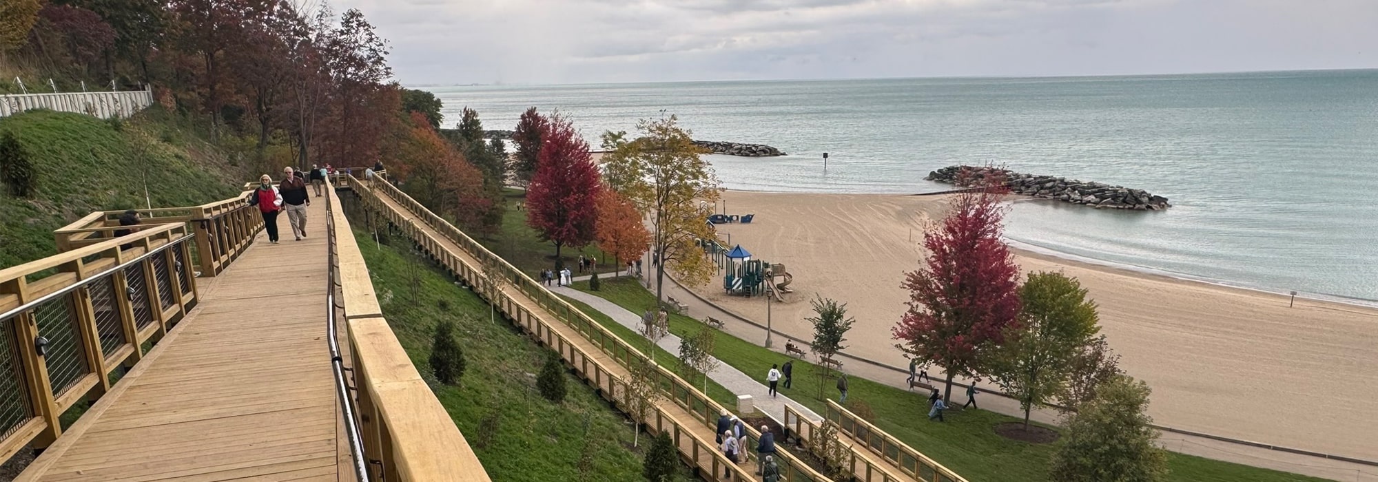 Forest Park Bluff