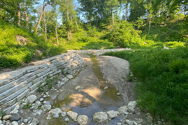 Lake Forest Trail After