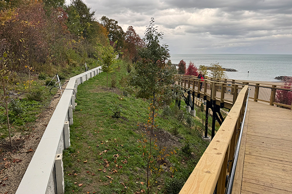 Forest Park Bluff retaining wall